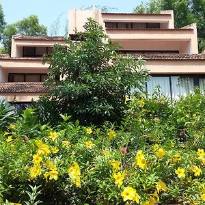 Sai Vishram Beach Resort